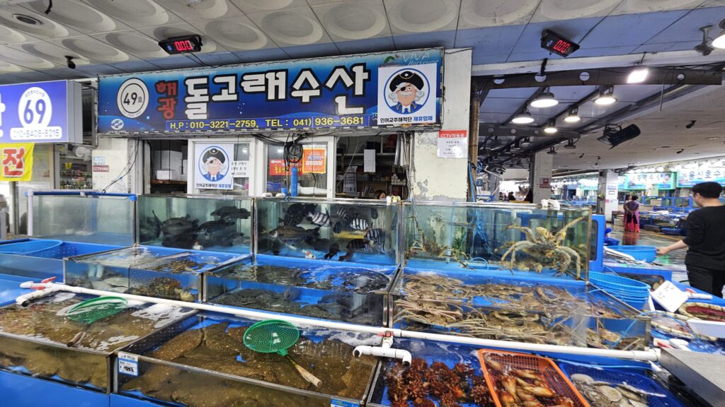 대천항수산시장 4