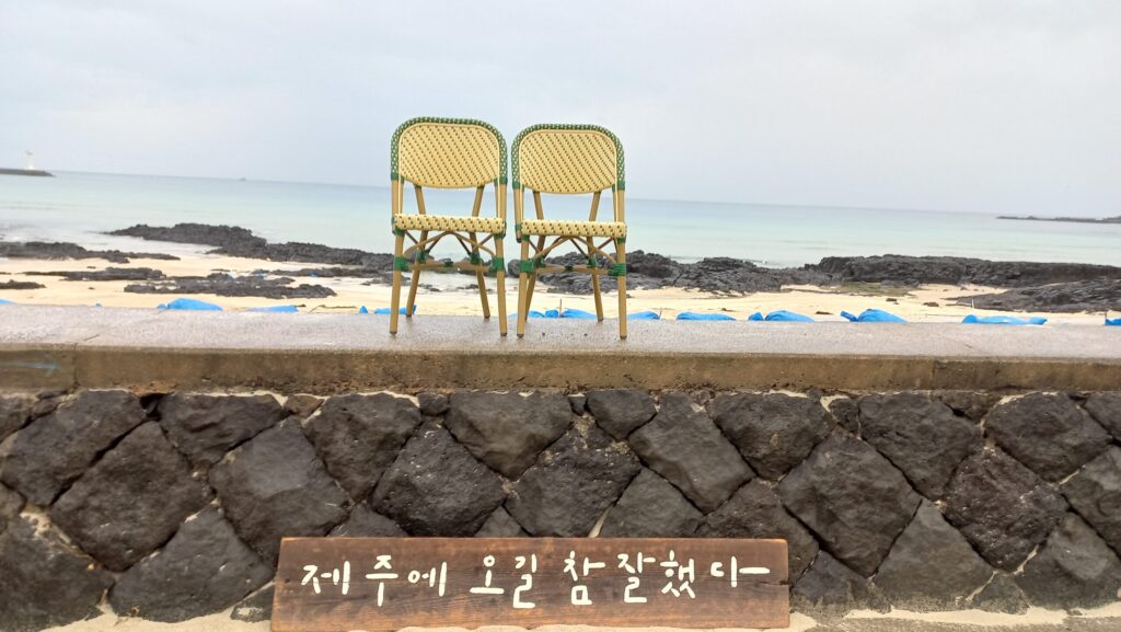 세화해수욕장 13 5