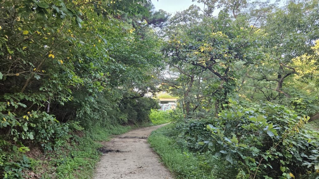 장산전망대 3 2