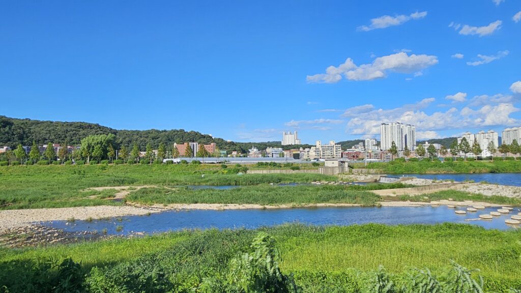고양 물구리빵집, 북한산과 공릉천 뷰에 장미꽃을 주는 베이커리카페 12 물구리빵집 12 2