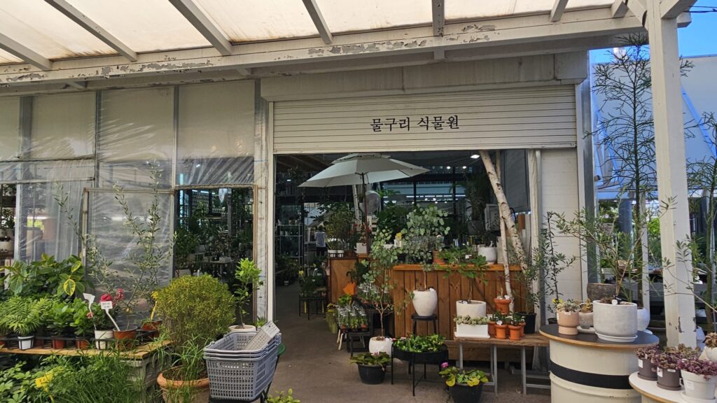 고양 물구리빵집, 북한산과 공릉천 뷰에 장미꽃을 주는 베이커리카페 9 물구리빵집 7